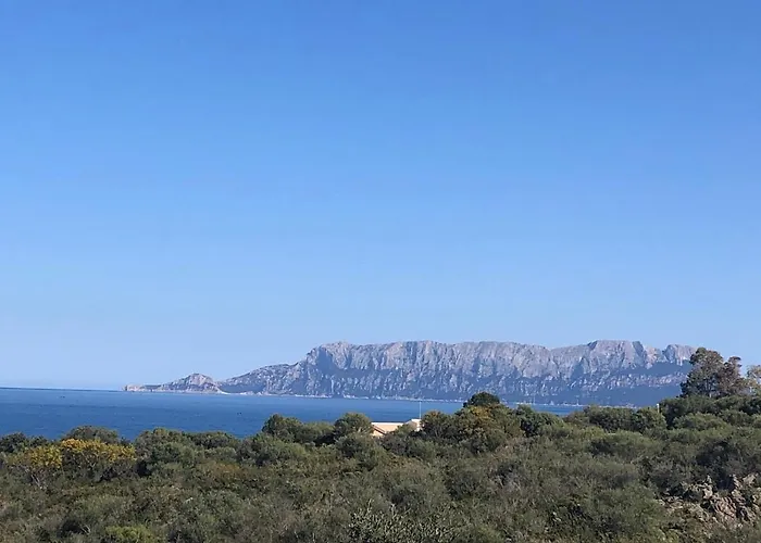 公寓 Terrata Mini Apartment, Olbia-golfo Aranci, Near The Sea *