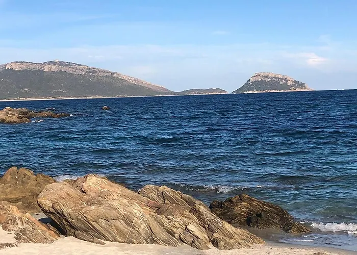 公寓 Terrata Mini Apartment, Olbia-golfo Aranci, Near The Sea *